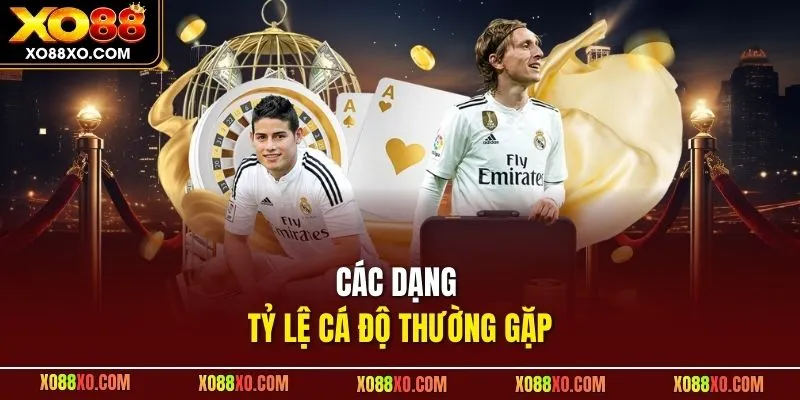 Các dạng tỷ lệ cá độ thường gặp