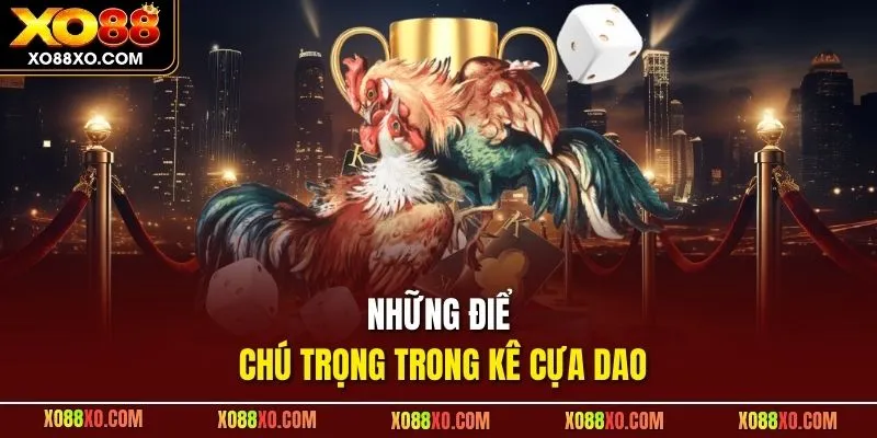 Những điểm cần chú trọng trong kê cựa dao