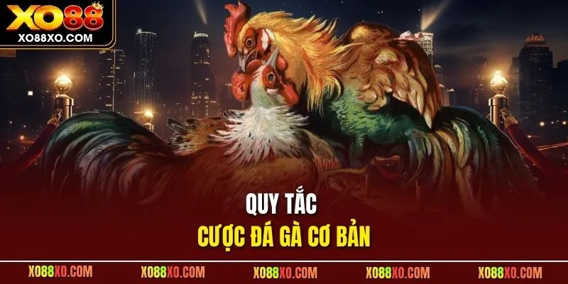 Quy tắc cược đá gà cơ bản