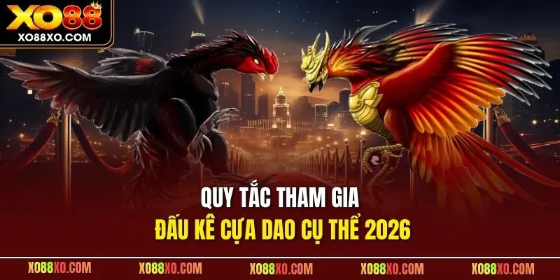 Quy tắc tham gia đấu kê cựa dao cụ thể 2026