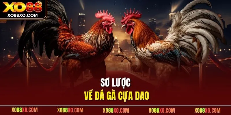 Sơ lược về đá gà cựa dao