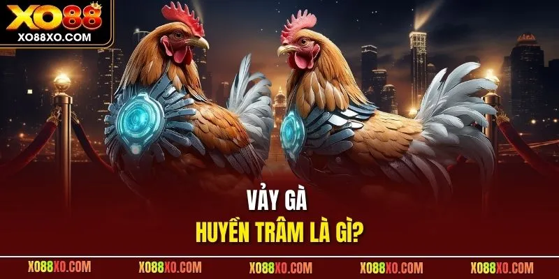 Vảy gà huyền trâm là gì?